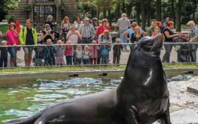 Die Mitgliederbroschüre der Wilhelmafreunde